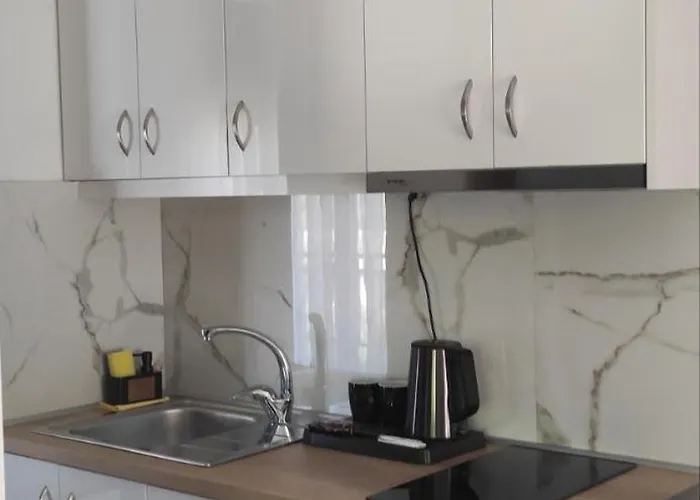 公寓式酒店 Elena 3*